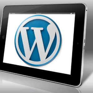 wordpress-kurs