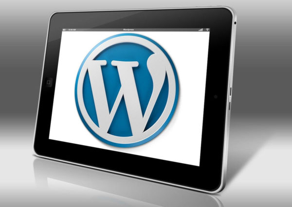 wordpress-kurs